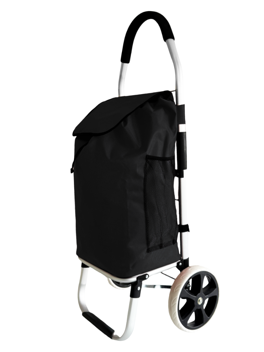 Carrello spesa 2 Ruota con robusto telaio in alluminio e borsa in tela impermeabile rimovibile ideale per lo shopping comodo e pratico
