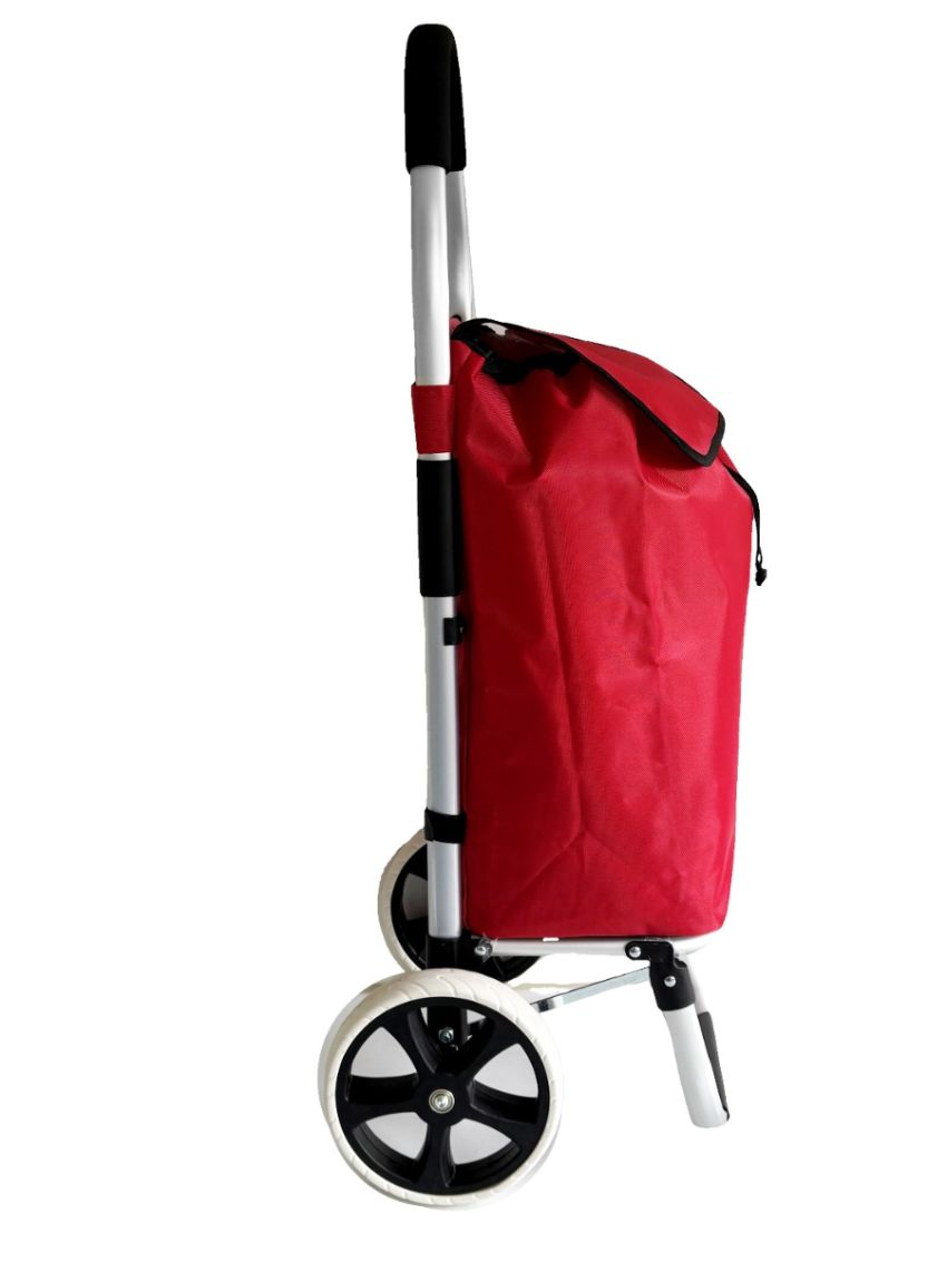 Carrello spesa 2 Ruota con robusto telaio in alluminio e borsa in tela impermeabile rimovibile ideale per lo shopping comodo e pratico